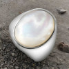 Knight's steel ring abalone oval mother-of-pearl for men and women