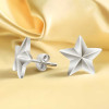 Boucles d'oreilles clous homme pentacle punk star acier - paire