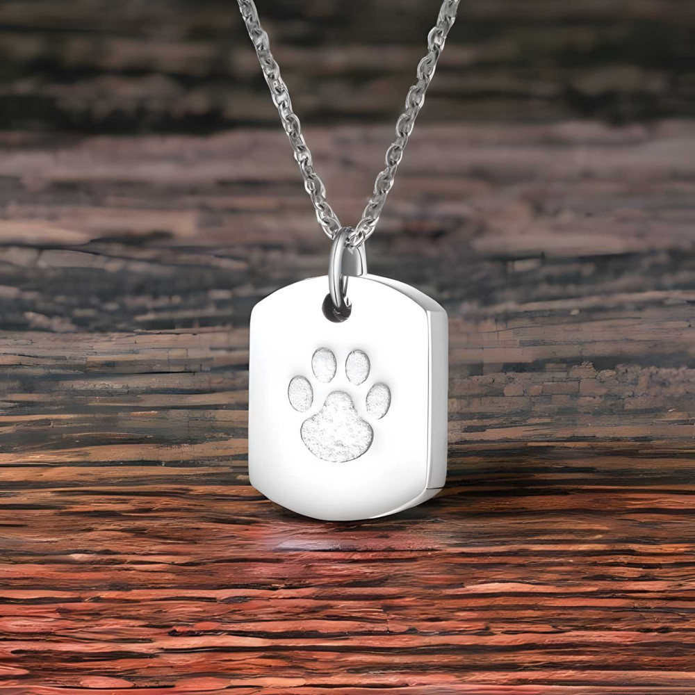 Ciondolo personalizzato da uomo, collana in acciaio, stampa gatto, scatola segreta da incidere, personalizzare