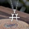 Herenketting met hanger sterrenbeeld Vissen van zilver