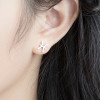Boucles d'oreilles argent 925 Signes du zodiaque Poissons