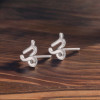 Orecchini in argento 925 segni zodiacali Capricorno