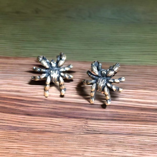 Boucles d'oreilles clous araignee argent homme femme