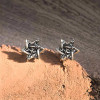 Silver Star of David Stud Earrings