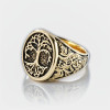Bague homme acier chevaliere arbre de vie resine noir