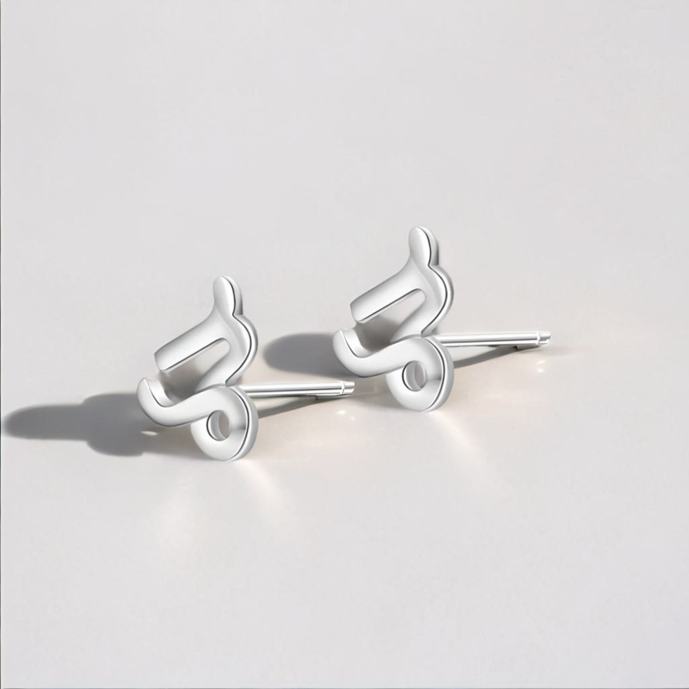 Boucles d'oreilles argent 925 Signes du zodiaque Capricorne