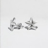 Boucles d'oreilles clous homme pentacle punk star acier - paire