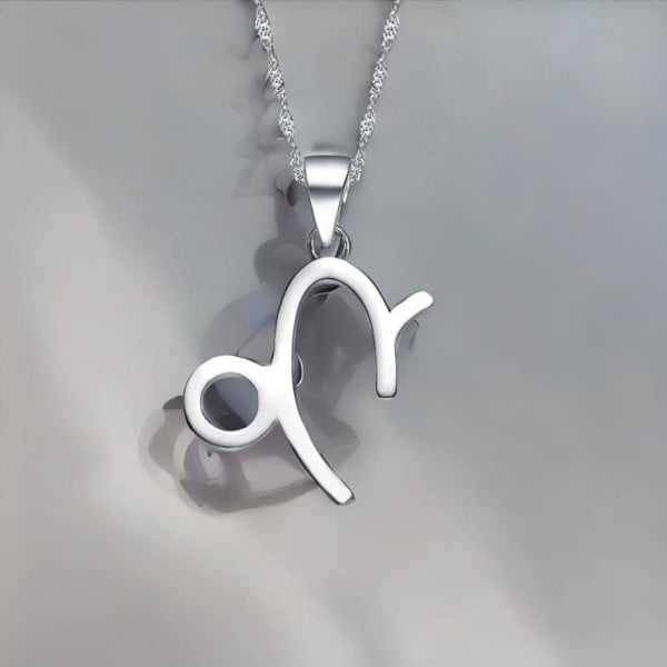 Pendentif homme Collier argent zodiaque Capricorne