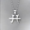 Colgante de hombre Collar de plata del zodiaco Piscis