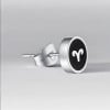 Steel earrings Zodiac signs Aries