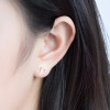 Boucles d'oreilles argent 925 Signes du zodiaque Taureau