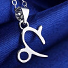 Pendentif homme Collier argent zodiaque Capricorne
