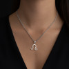 Pendentif homme Collier argent zodiaque Lion