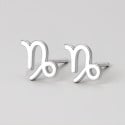 Orecchini in argento 925 segni zodiacali Capricorno