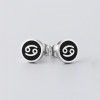 Steel earrings Gemini zodiac signs