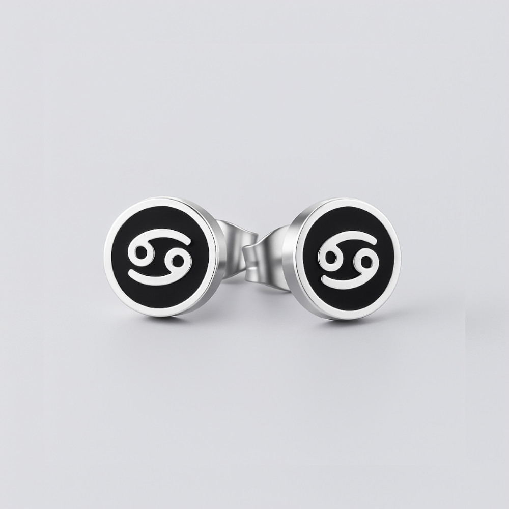 Steel earrings Gemini zodiac signs