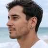 Steel earrings Gemini zodiac signs