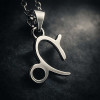 Sterling Silver capricorn zodiac pendant necklace