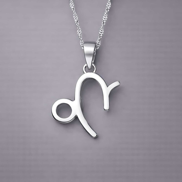 Herenketting met sterrenbeeld Steenbok en zilveren hanger