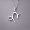 Colgante hombre collar de plata del zodiaco Capricornio