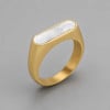 Bague chevalière en acier inoxydable 316L plaqué or avec résine noire
